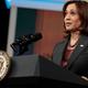 Image for article titled Kamala Harris Mocked after Echoing Concern for Ukraine-Russia Tensions